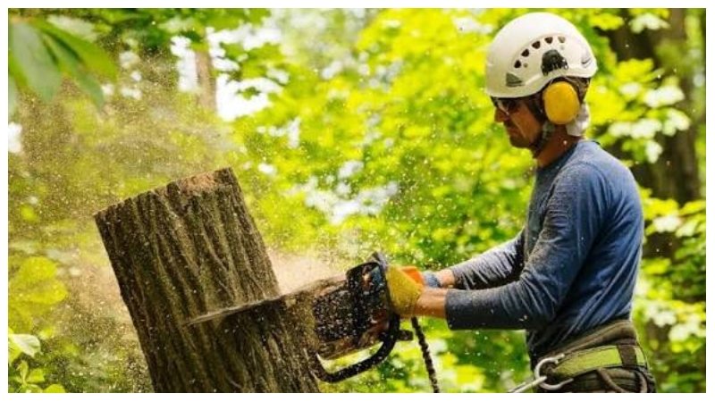 Tree Service